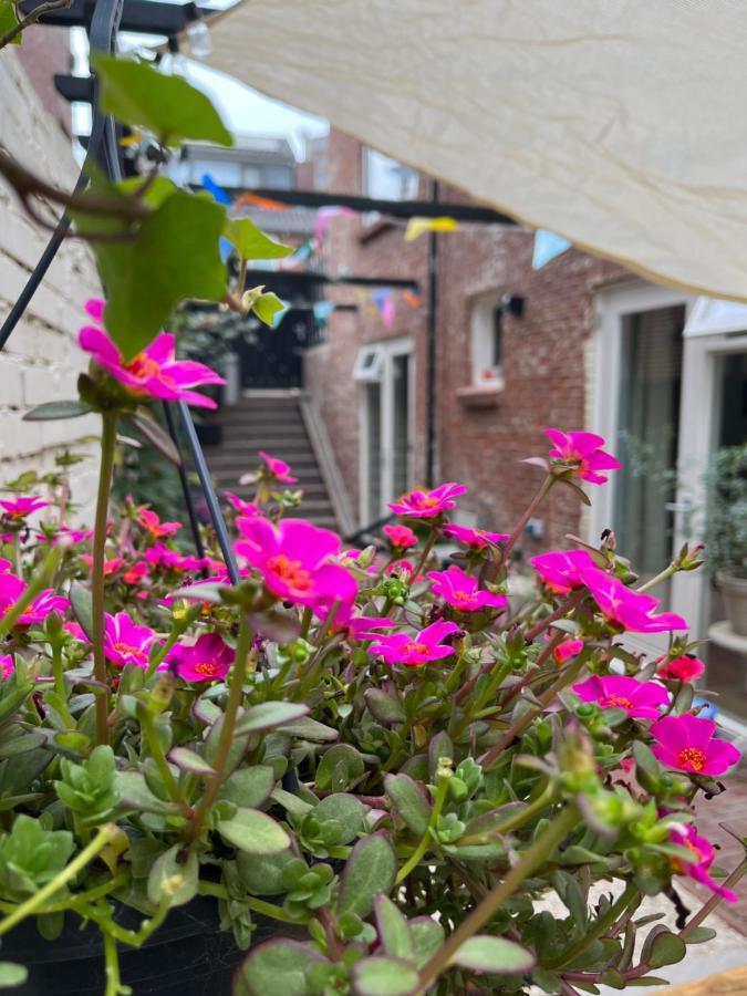 Appartement Van Der Zee ซานด์โวร์ต ภายนอก รูปภาพ